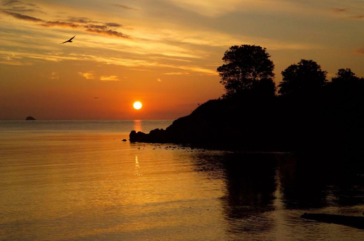 Broadshade Holiday Apartments Paignton Zewnętrze zdjęcie